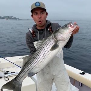 Meet your Posher, Ross